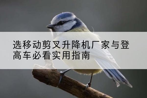 西昌电动升降机厂家-选移动剪叉升降机厂家与登高车必看实用指南
