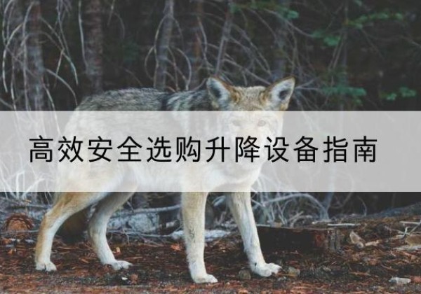西昌升降货梯厂家推荐-*安全选购升降设备指南