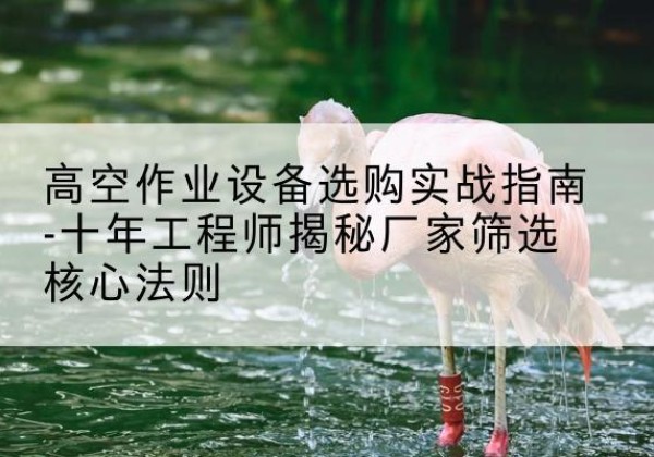 西昌剪叉式升降机厂家-高空作业设备选购实战指南-十年工程师揭秘厂家筛选核心法则